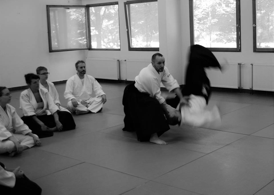 Aikido edzőtábor Balatonkenese Stéphane Goffin