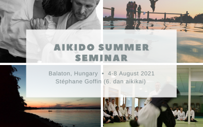 Aikido summer seminar 2021