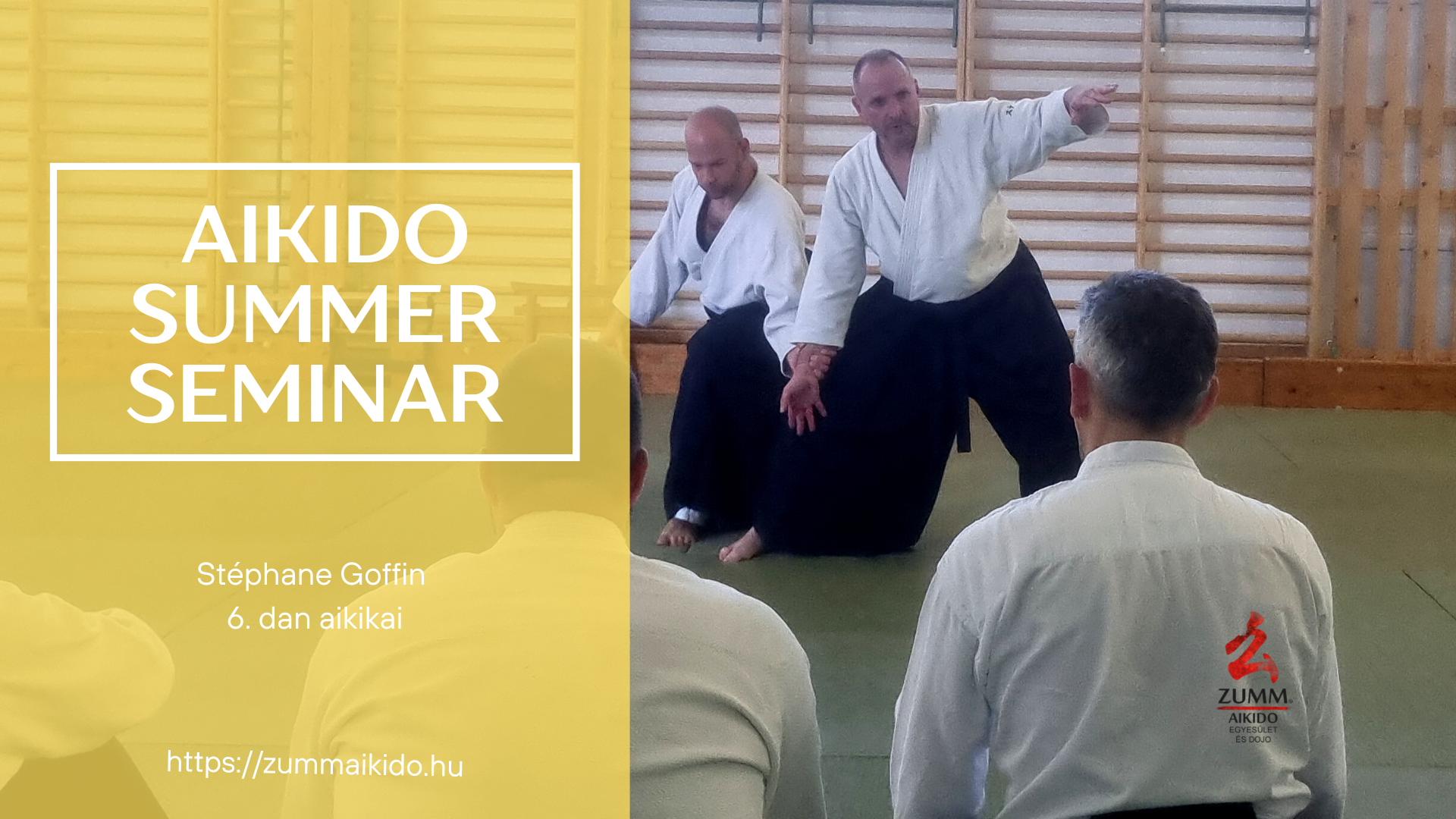 Aikido summer seminar 2023 event