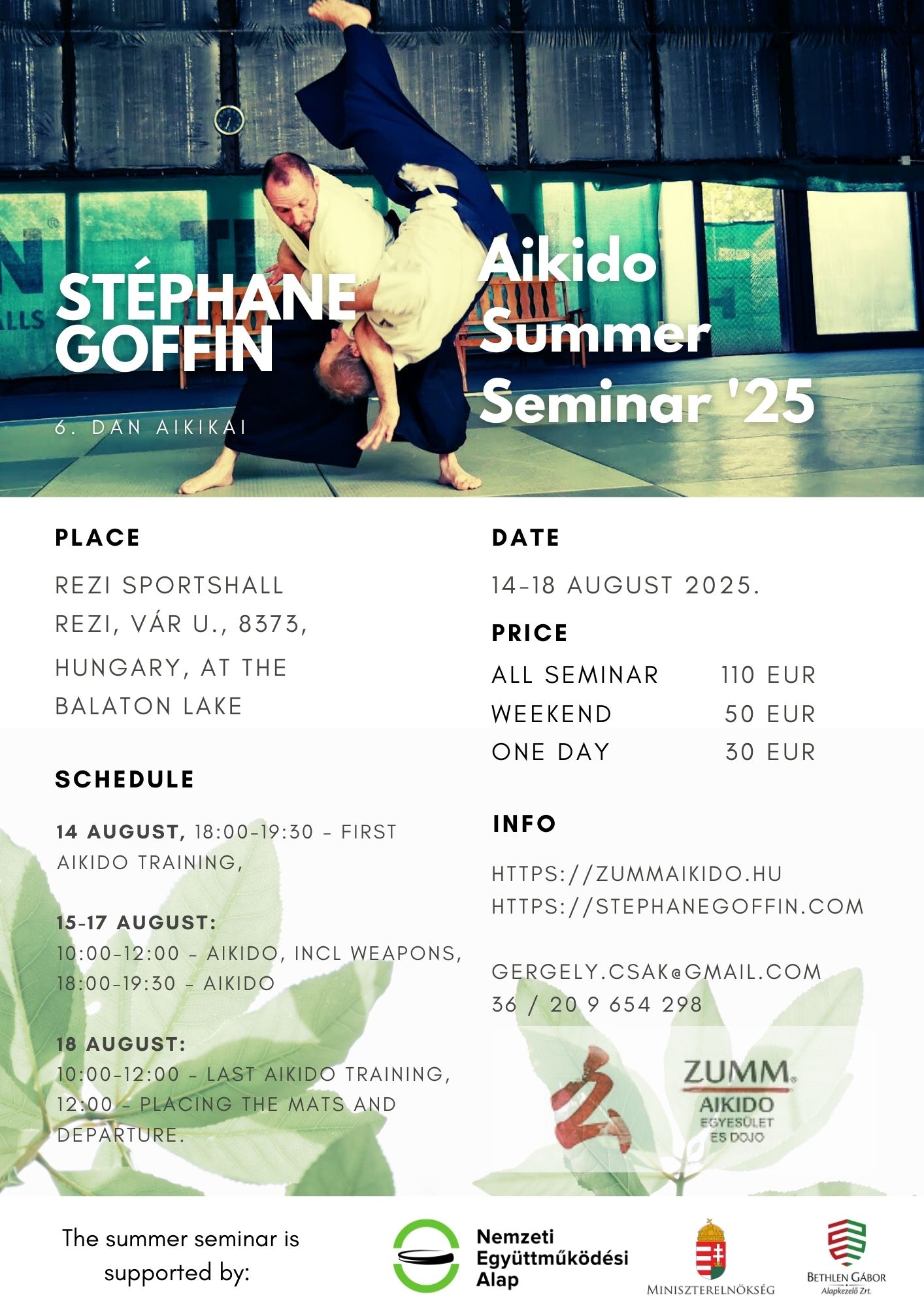 Stéphane Goffin aikido summer seminar 2025