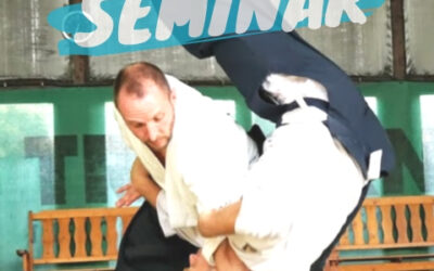 All information about the aikido summer seminar 2019