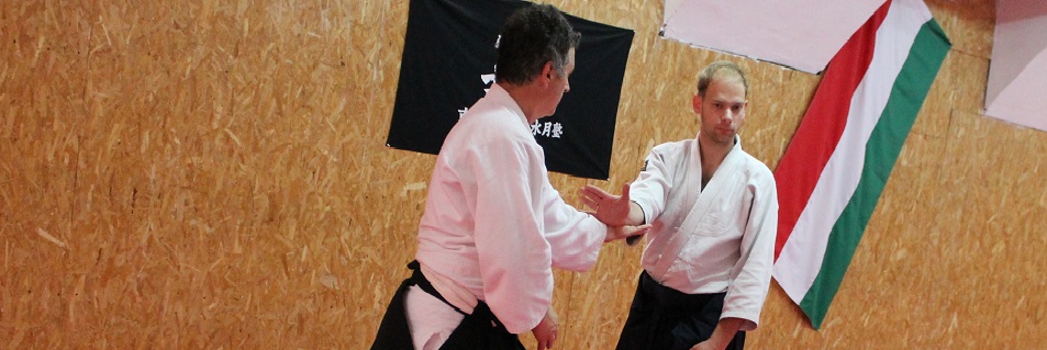 aikido harcművészet Csák Gergely