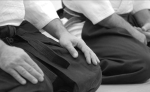 aikido hakama seiza