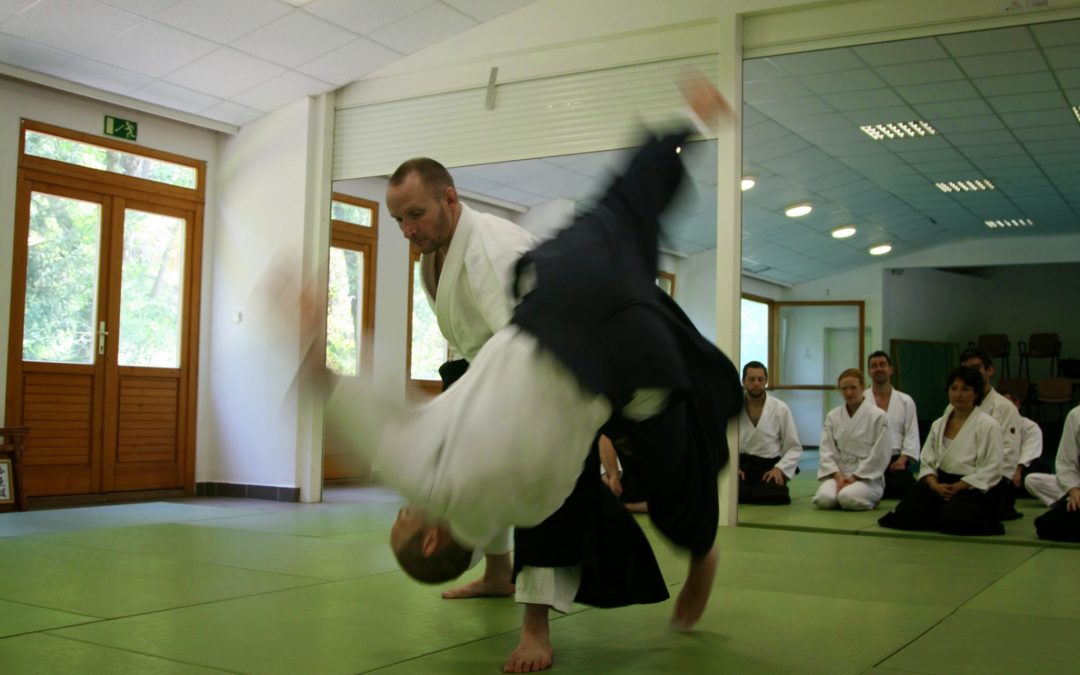 Stéphane Goffin aikido