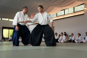 Stéphane Goffin nyári aikido edzőtábor – részletek