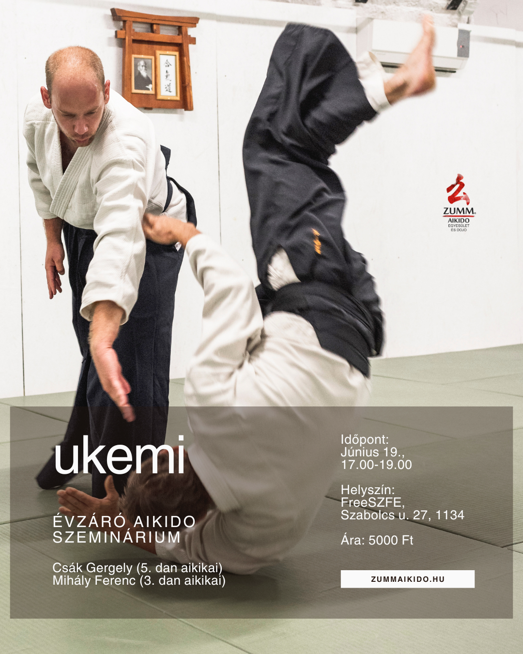 ukemi aikido edzőtábor